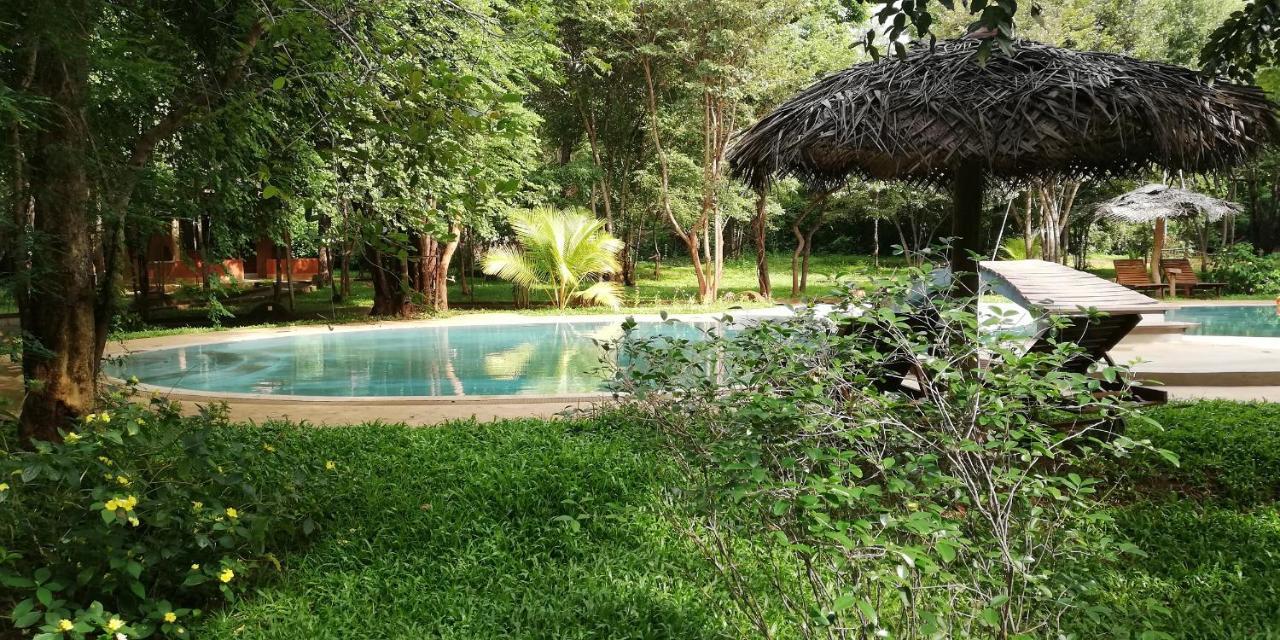 Kuwera Eco Lodge Sigiriya Exterior foto